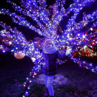 Cientos de luces transforman la Navidad en Gavronica. ANTONIO BAT