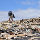 Residuos de plásticos y madera en Alegranza. JORGE CÁCERES