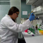 Una de las investigadoras, en los laboratorios del IBGM. dicyt
