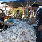 Santa Marina del Rey celebra la Feria del Ajo. RAMIRO