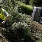 Miembros de la Guardia Civil recogen objetos del lugar del accidente