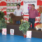 m. macías