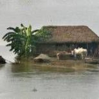 La situación es caótica en parte del sureste asiático debido a las lluvias