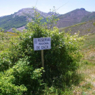 Imagen de archivo de la reserva de caza de Picos de Europa.
