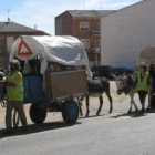La comitiva de peregrinos y animales ayer a su llegada a Astorga.