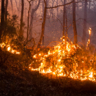 Imagen de archivo de un incendio en la provincia. FERNANDO OTERO PERANDONES.