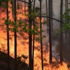 Incendio forestal en China.