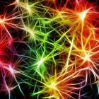 Una imagen coloreada de la conexión de las neuronas. GERALT/PIXABAY