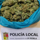 Los cogollos de marihuana, en manos ya de Subdelegación. DL