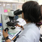Una investigadora de la Universidad de León, en imagen de archivo. DL