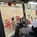 Una máquina cosecha cereal en la comarca de la Sobarriba, en las inmediaciones de León capital