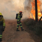 En 2022, uno de los peores años de incendios de la historia, ardieron 81.716 hectáreas en Castilla y León de las que 5.254 se concentraron en León. L. DE LA MATA