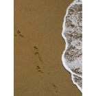 Coaching to be  www.coachingtobe.es