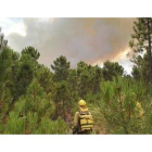 Incendio declarado en el pinar de Tabuyo tras caer un rayo poco después de la 1 de la tarde