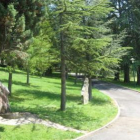 Imagen de uno de los bellos parajes de la Reserva del Alto Bernesga en La Pola de Gordón.
