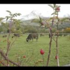 La comarca leonesa de Babia entra en la Reserva de la Biosfera, una marca de calidad de la Unesco, por su singular paisaje moldeado por la trashumancia.