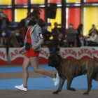 Una pareja inseparable. FERNANDO OTERO