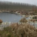 Estado actual de una de las lagunas situadas en el término municipal de Palanquinos