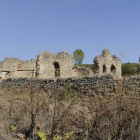 Imagen que tienen en la actualidad los restos del monasterio de Eslonza