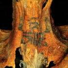 Cuello tatuado de una mujer de unos 3000 años de antigüedad, descubiertos el pasado mayo.