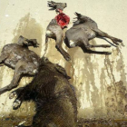 Los cadáveres de tres corzos, uno de ellos después de ser comido por un buitre, y un jabalí en Payuelos el pasado martes.