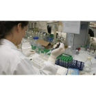 Uno de los grupos de trabajo de la Universidad de León que cuenta con un proyecto de investigación relacionado con la Biotecnología, en una imagen de archivo.