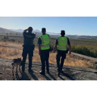 Parte del dispositivo desplegado en la Sierra de Cádiz. GUARDIA CIVIL