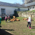 Los escolares aprenden muchas cosas del ganado.