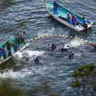 Un grupo de pescadores rodean a los delfines en la bahía de Taiji.