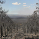 El incendio que se originó en agosto de 2012 en Castrocontrigo perjudicó gravemente a los montes del Teleno. JESÚS F. SALVADORES