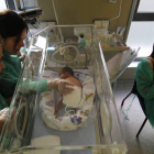 María Ángeles Pereira y Óscar Alba Barreiro, con su hijo Lucas, que pesó 1.420 gramos al nacer. Son de Ponferrada y han alquilado un piso en León.