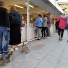 La feria volverá el año que viene a la plaza Fernando Miranda. DL