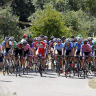 El pelotón de la Vuelta, durante la segunda etapa. MARCIANO