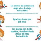 Impreso informativo del Programa de salud bucodental puesto en marcha por la Junta de Castilla y Leó