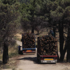 Camiones cargados con madera quemada en el incendio de Castrocontrigo, donde en 2012 ardieron casi 12.000 hectáreas. JESÚS