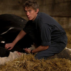La enfermedad que sufren las vacas en el filme está inspirada en una dolencia real.