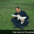 Silvio Berlusconi aparece en un vídeo cuidando y amamantando a cinco corderos que ha adoptado.