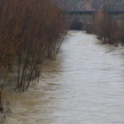 Así caía el Torío a su paso por Puente Castro; kilómetros arriba llegó a la alerta.