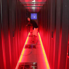 El Centro de Supercomputación, ubicado en el Campus de Vegazana, se encargará de dirigir la Red de Ciencia y Tecnología