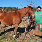 El herrador Jonathan Carvalha Asenjo está pegado a los caballos desde que nació, en la imagen en Villafranca. M.F.