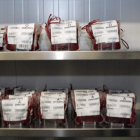 Bolsas de sangre que se conservan en el Banco de Sangre del Hospital de León