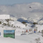 Valles del puerto de San Glorio, en los que estará ubicada la futura estación de esquí, si finalment