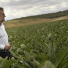 El líder del PP, Mariano Rajoy, en una visita este miércoles a una plantación de alcachofas.