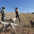 Borja y Bernardo con sus perros en el primer día de la media veda en el Valle Las Casas. JESÚS F. SALVADORES