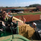 La agropiscina volverá con una sorpresa para el año que viene.