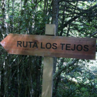 Se han desbrozado y señalizado cuatro rutas. ARAUJO