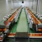 La transformación agroindustrial representa uno de los sectores más dinámicos de la provincia