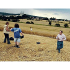 Un grupo de aficionados a los fenómenos extraños examinan los círculos en un campo de maíz de la República Checa.