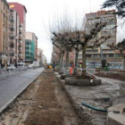 Los trabajos del jardín poético estarán concluidos en quince días.