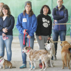 Participantes en el concurso de belleza canina de la feria de mascotas de Camponaraya . L. DE LA MATA